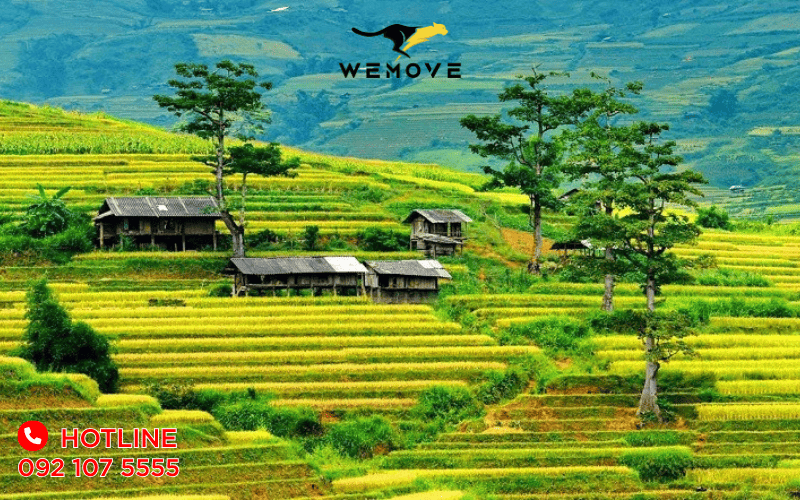 du-lich-mu-cang-chai