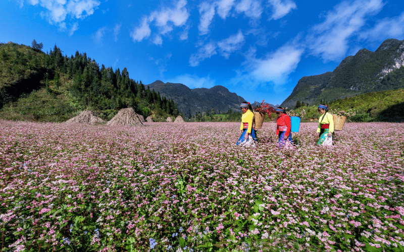 du-lich-ha-giang-3-ngay-2-dem